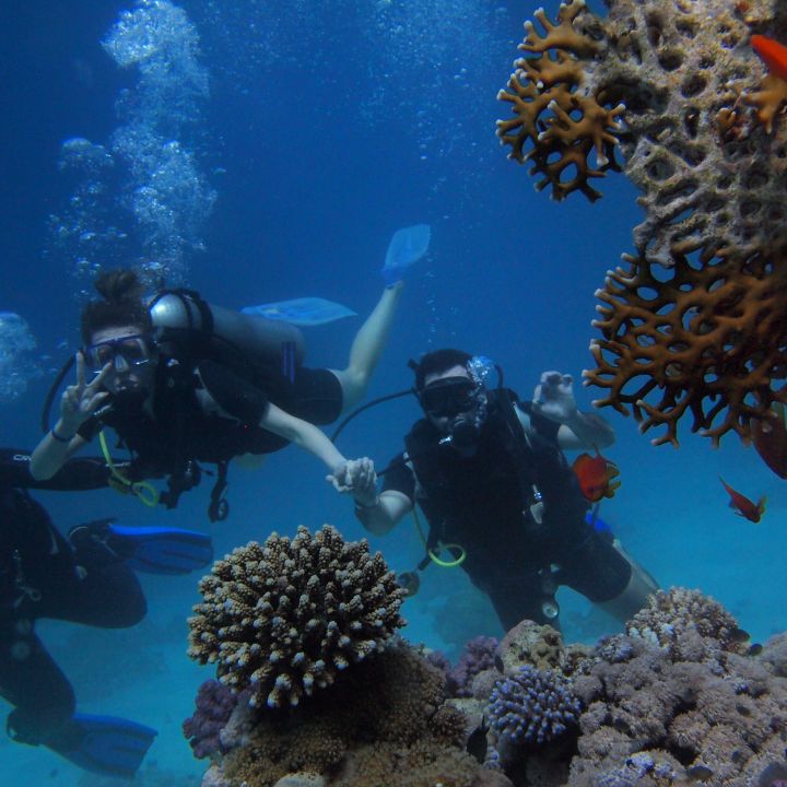 Snorkel y buceo en Nosy Be