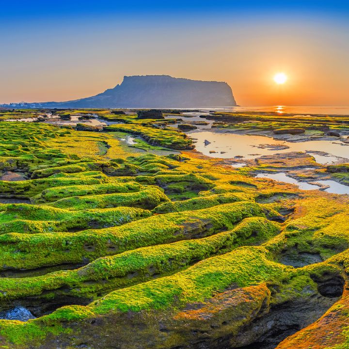 Explora la isla de Jeju