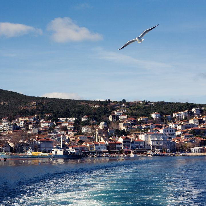 Tour privado por las Islas Príncipe