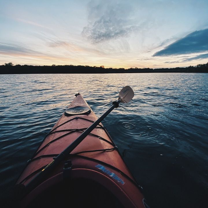 Recorrido en kayak por los manglares de Abu Dhabi